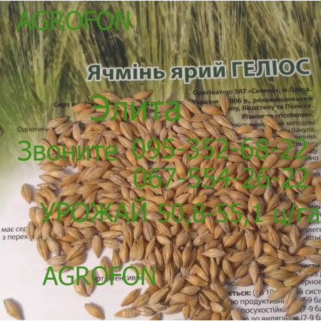 Яровой Ячмень Гелиос