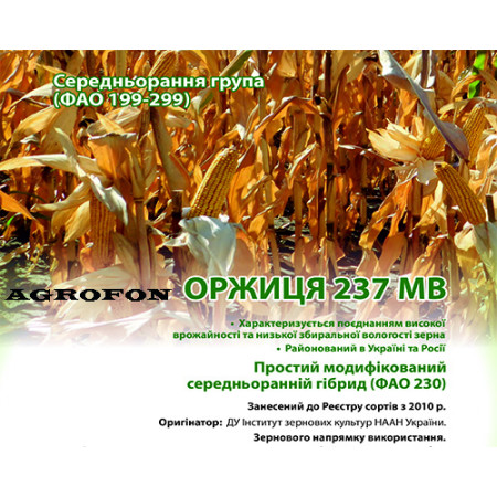 Семена кукурузы ОРЖИЦА