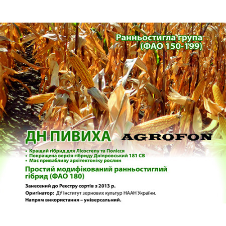 Ранняя Семя кукуруза ПИВИХА. Кукуруза «ПИВИХА»ФАО 180, урожай 11,5-12,0 т/га.