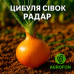 Цибуля сіянка «Радар» ® (озимий, Голландія, Broer)