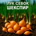 Лук-севок «Шекспир» (Голландия) — стабильная урожайность и лёжкость