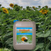 Бор Соняшнику Олійний Турбо ✔️Мікродобрива На Соняшник Бор Соняшнику Олійний Турбо ✔️Мікродобрива На Соняшник