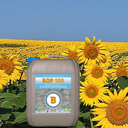Бор Для Соняшнику Life Biochem 100 - Кислий ✔️Підживка Соняшник По Листу