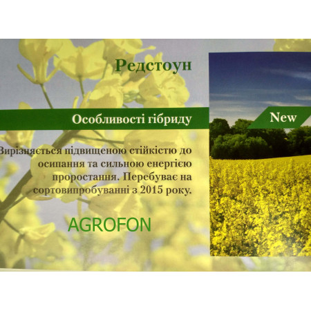 Озимый рапс "Редстоун"