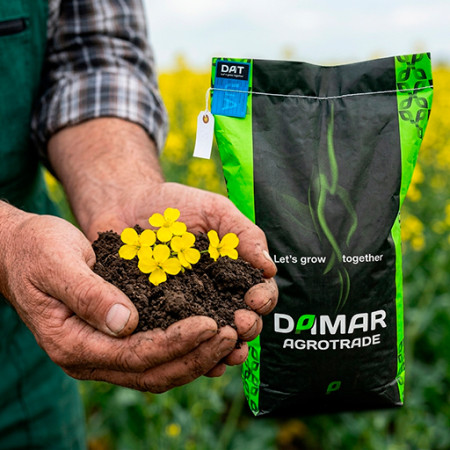 Насіння озимого ріпаку Бахус - 1-а репродукція Німеччина Насіння озимого ріпаку Бахус - 1-а репродукція Німеччина