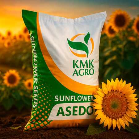 Високоолеїновий соняшник «АСЕДО» (KMK AGRO) — під технологію Гранстар/Експрес