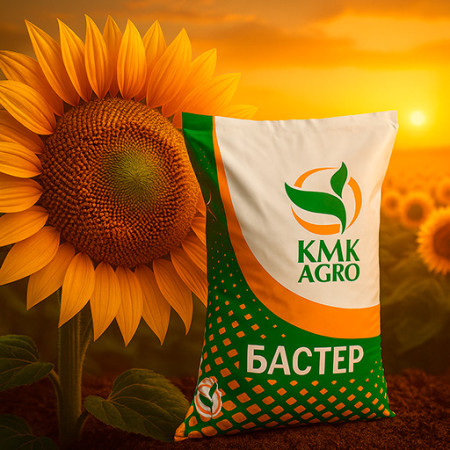 Насіння соняшнику «БАСТЕР» (IMI/Євролайтінг) — КМК АГРО