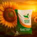 Насіння соняшнику «БАСТЕР» (IMI/Євролайтінг) — КМК АГРО