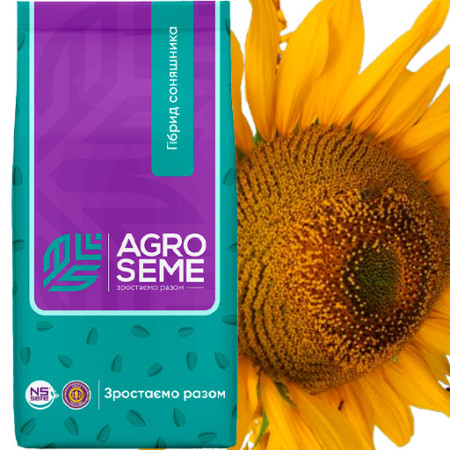 Семена Подсолнуха AGRO SEME НС Х 8005  Под Гранстар✅Подсолнух Сумо