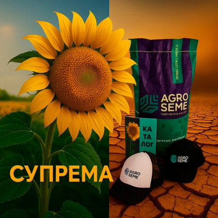 Насіння Соняшнику AЗ СУПРЕМА Під Гранстар ✅Високоолеїновий Соняшник