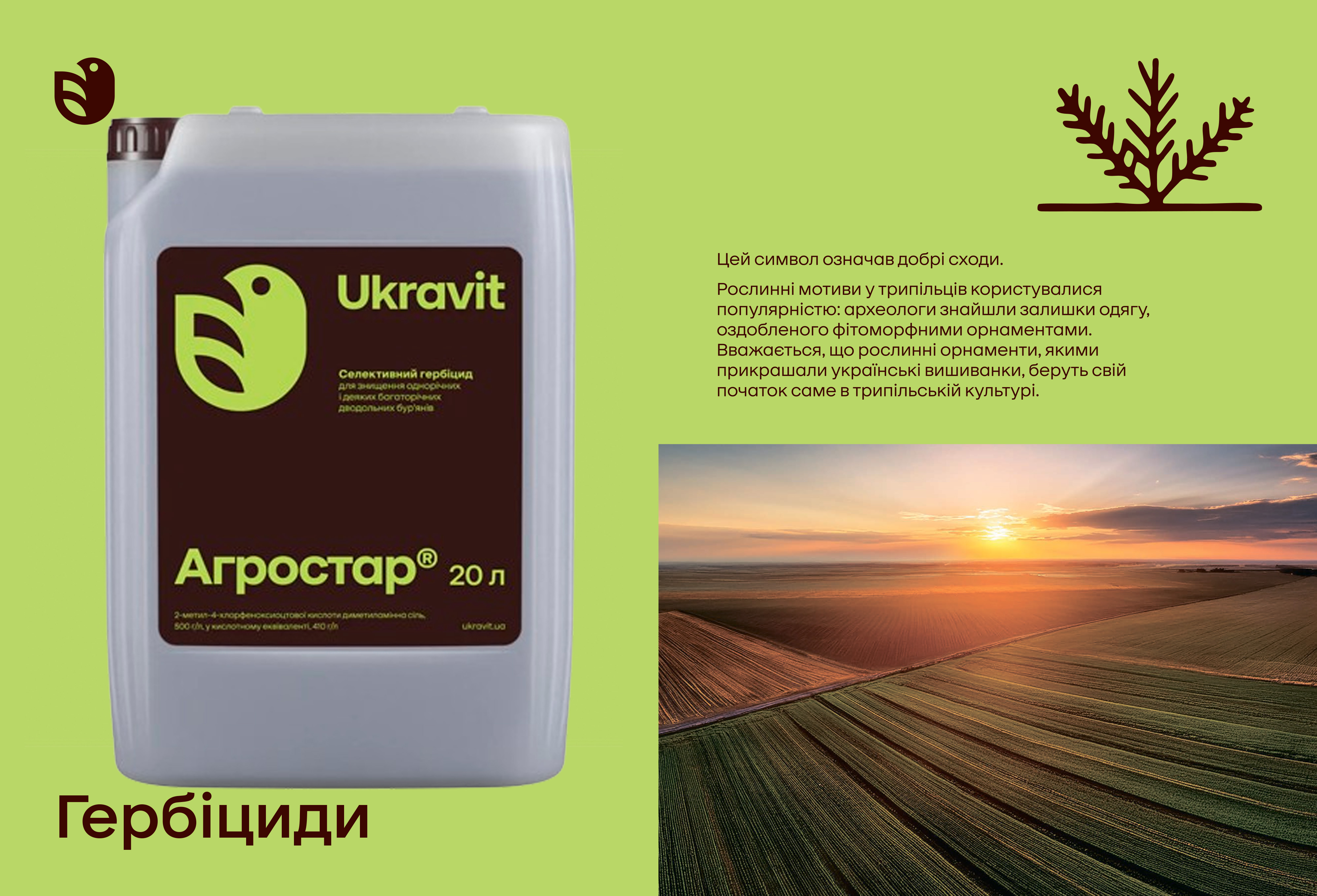 Гербіцид Агростар – гербіцид агритокс