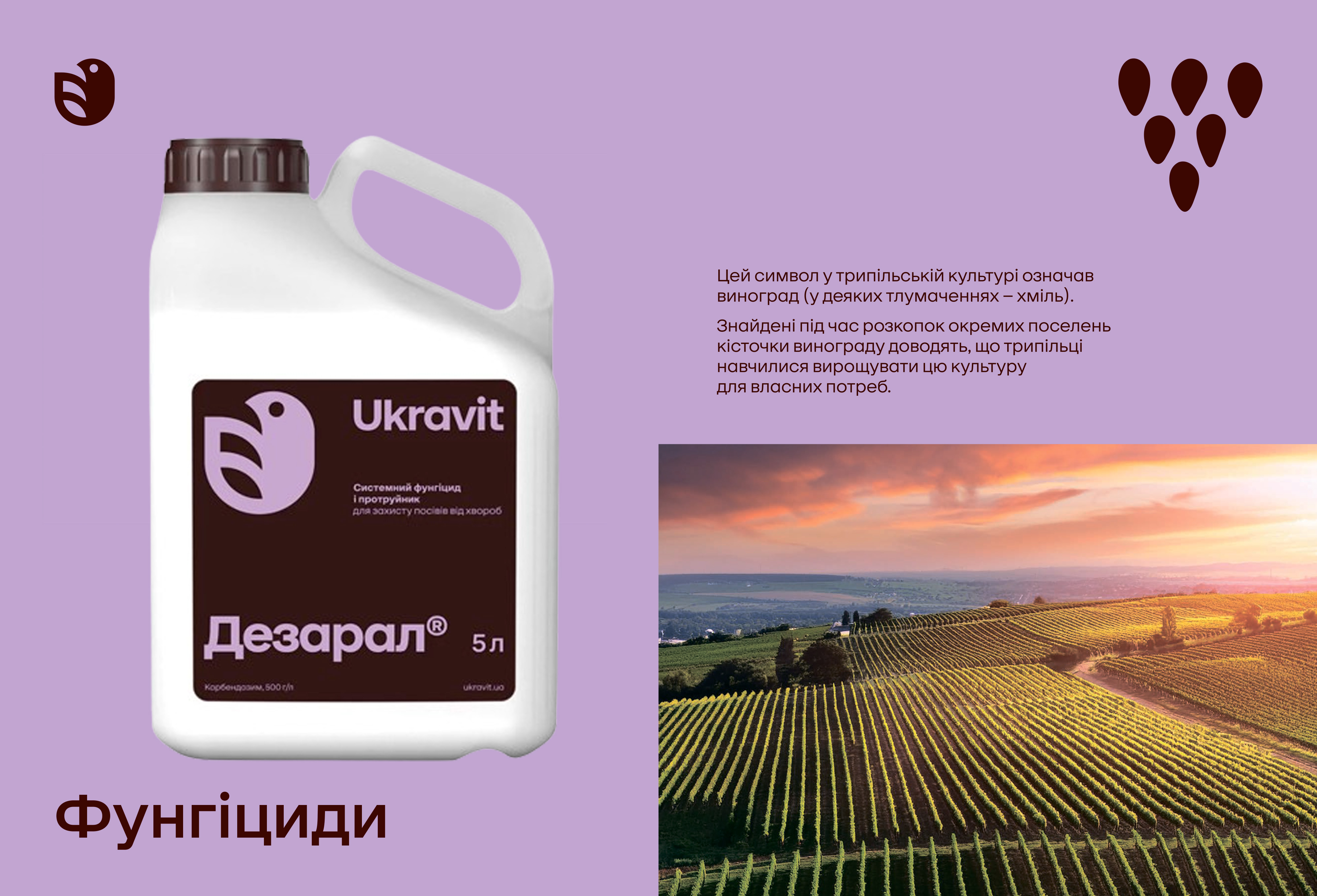 Фунгіцид Дезарал