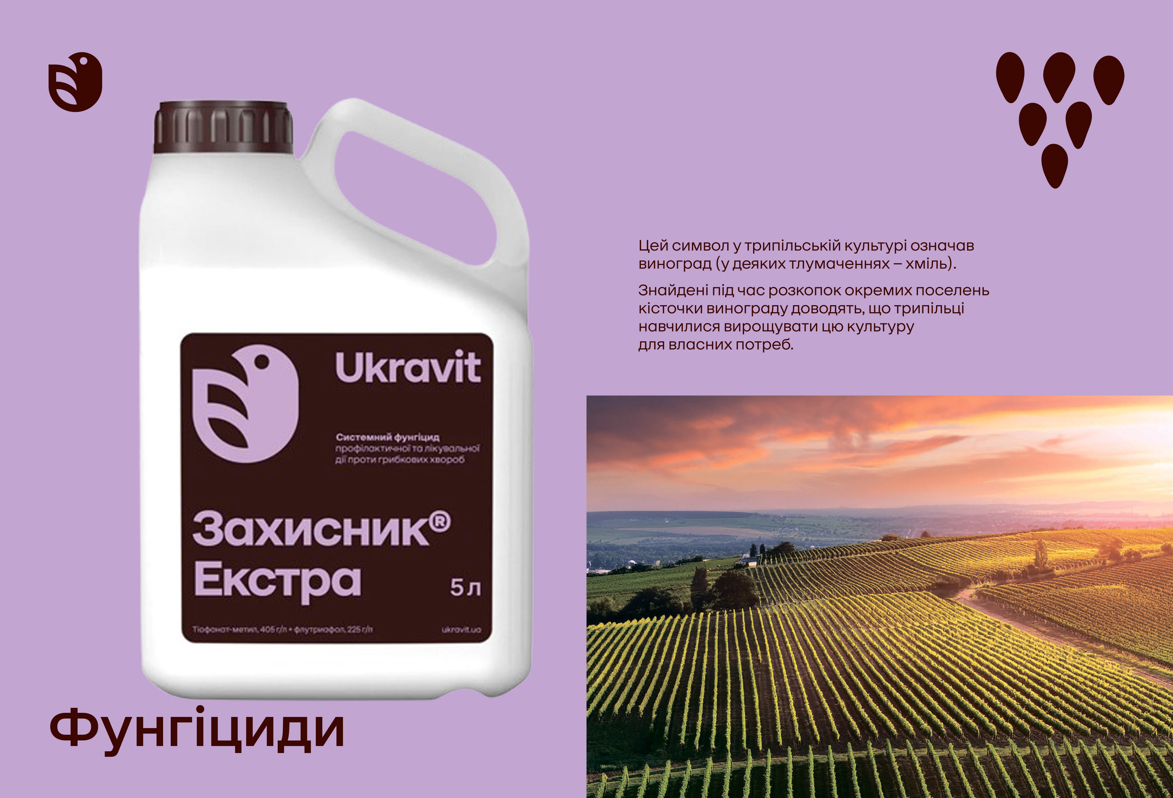 Фунгіцид Захисник Екстра - Укравіт