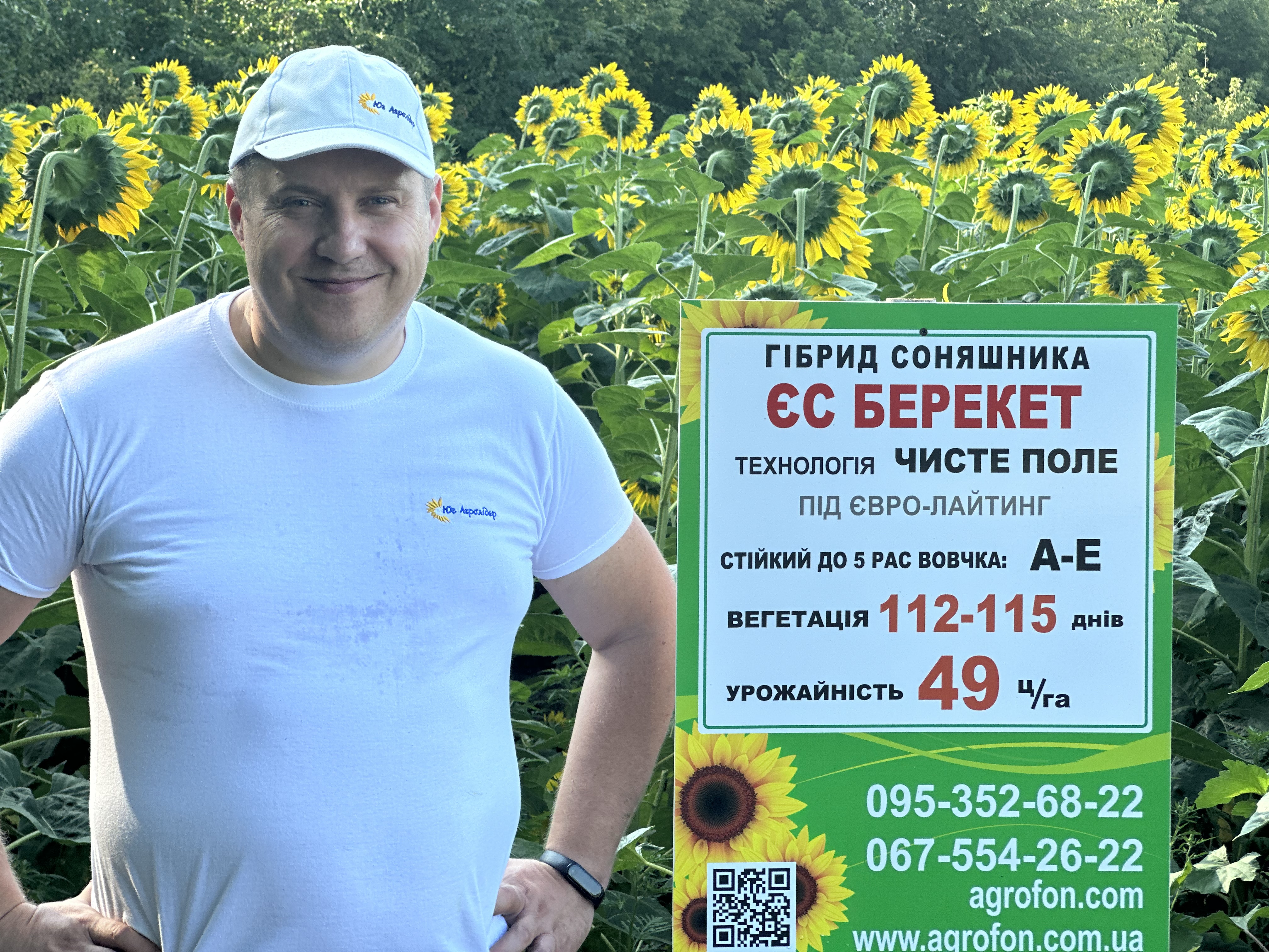 семена подсолнечника саксон любашевка