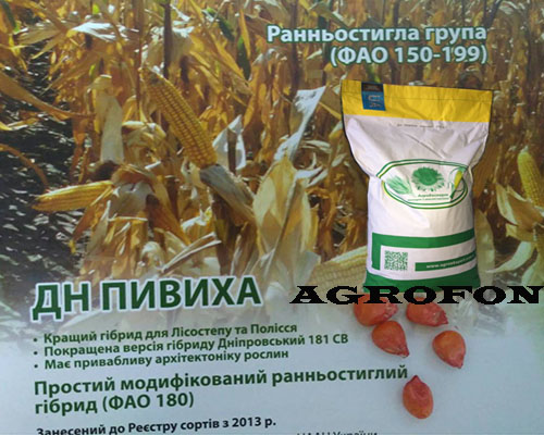 семена кукурузы Пивиха