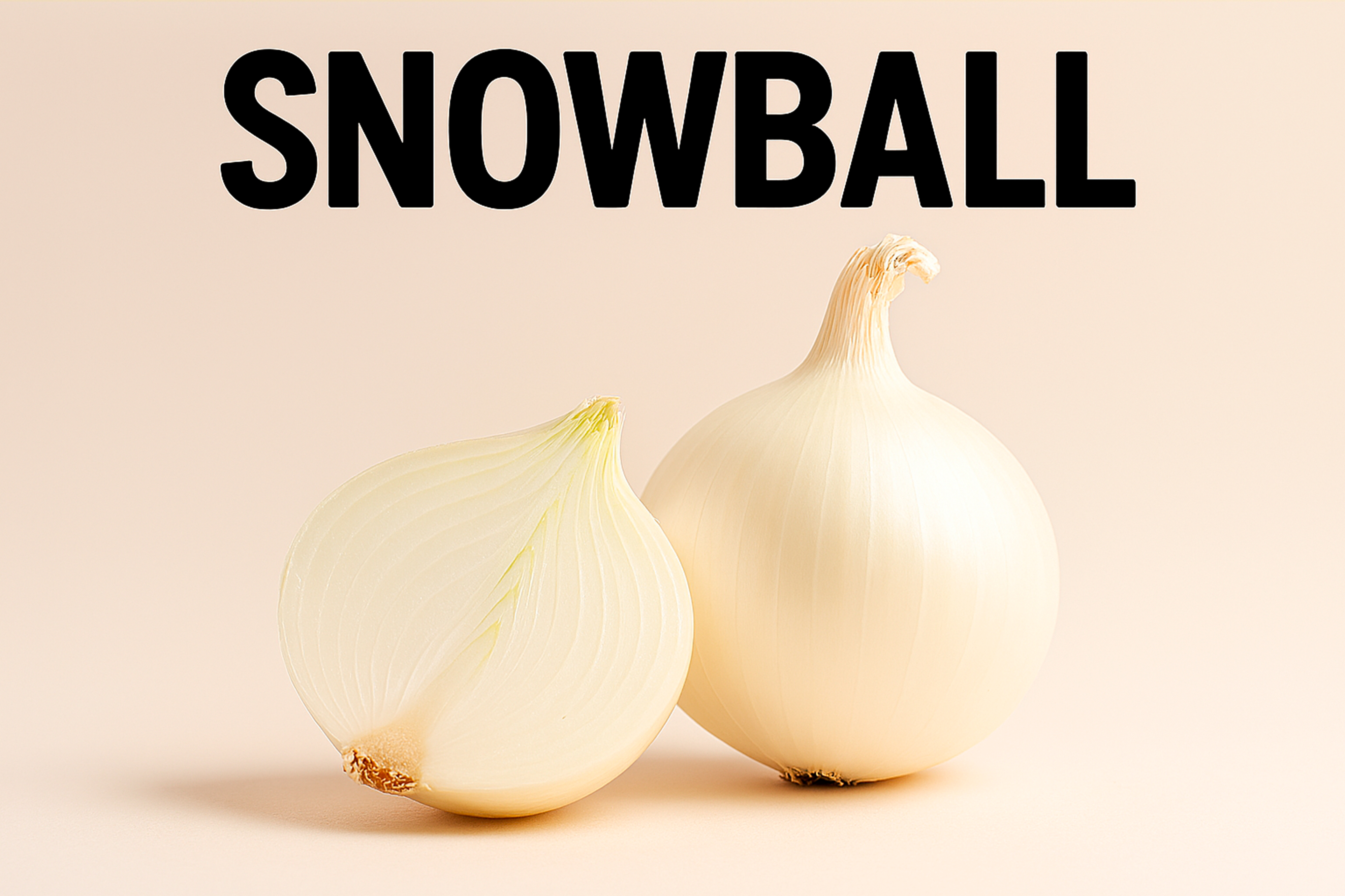 Біла цибуля- сівок Snowball