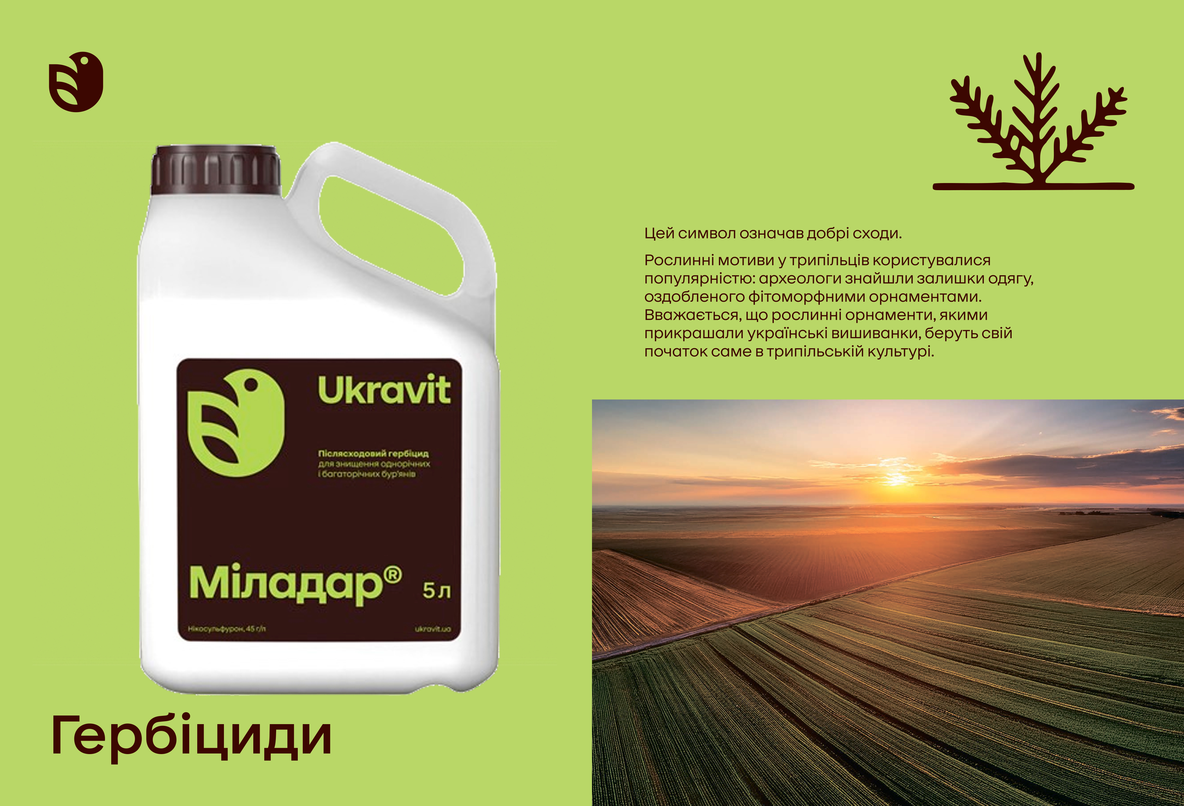 Гербіцид для кукурудзи Миладар — Укравит