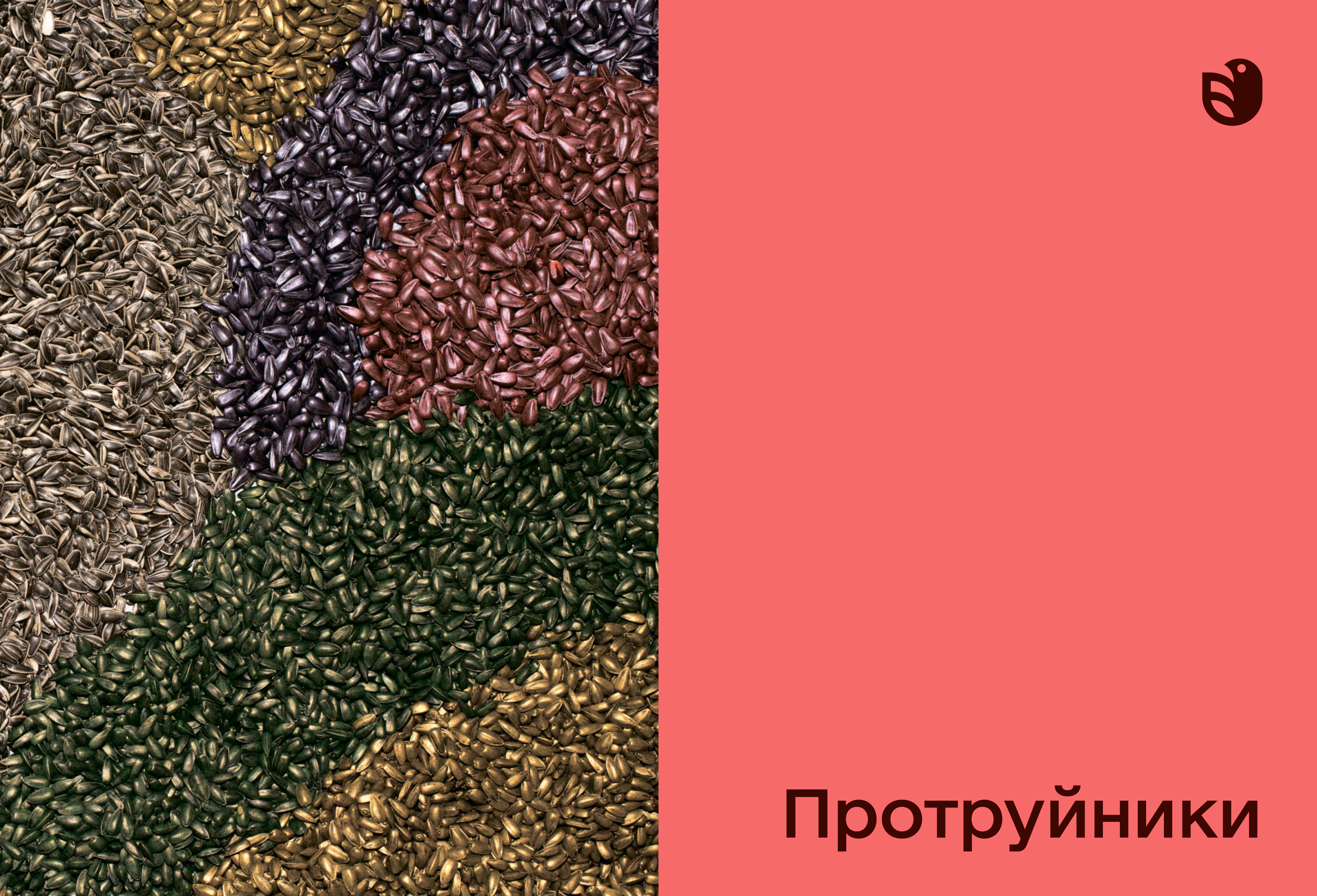 купить протруювач зерна
    </p>
</body>
</html>

<p style=
