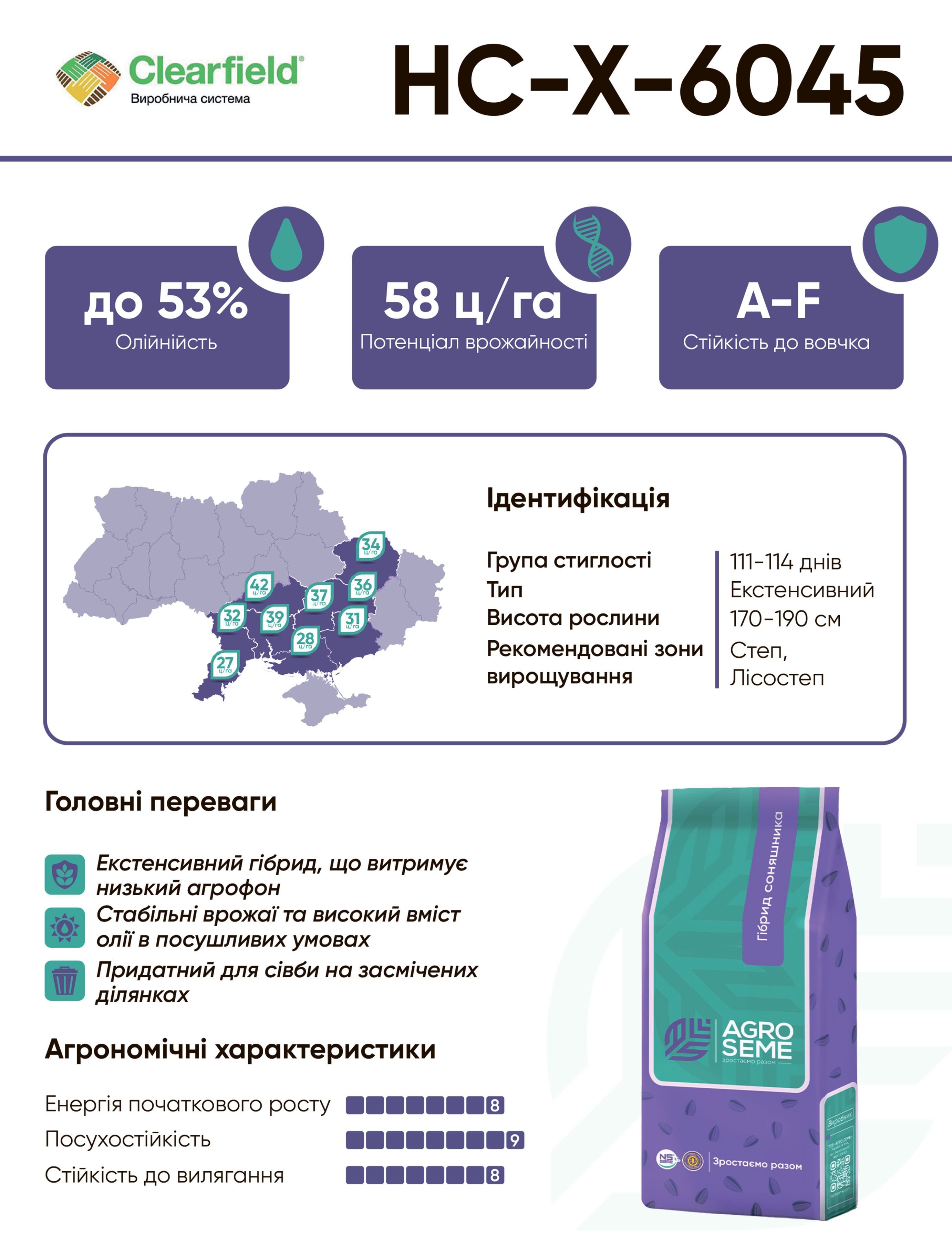 Насіння соняшнику НС Х 6045 під Євролайтинг