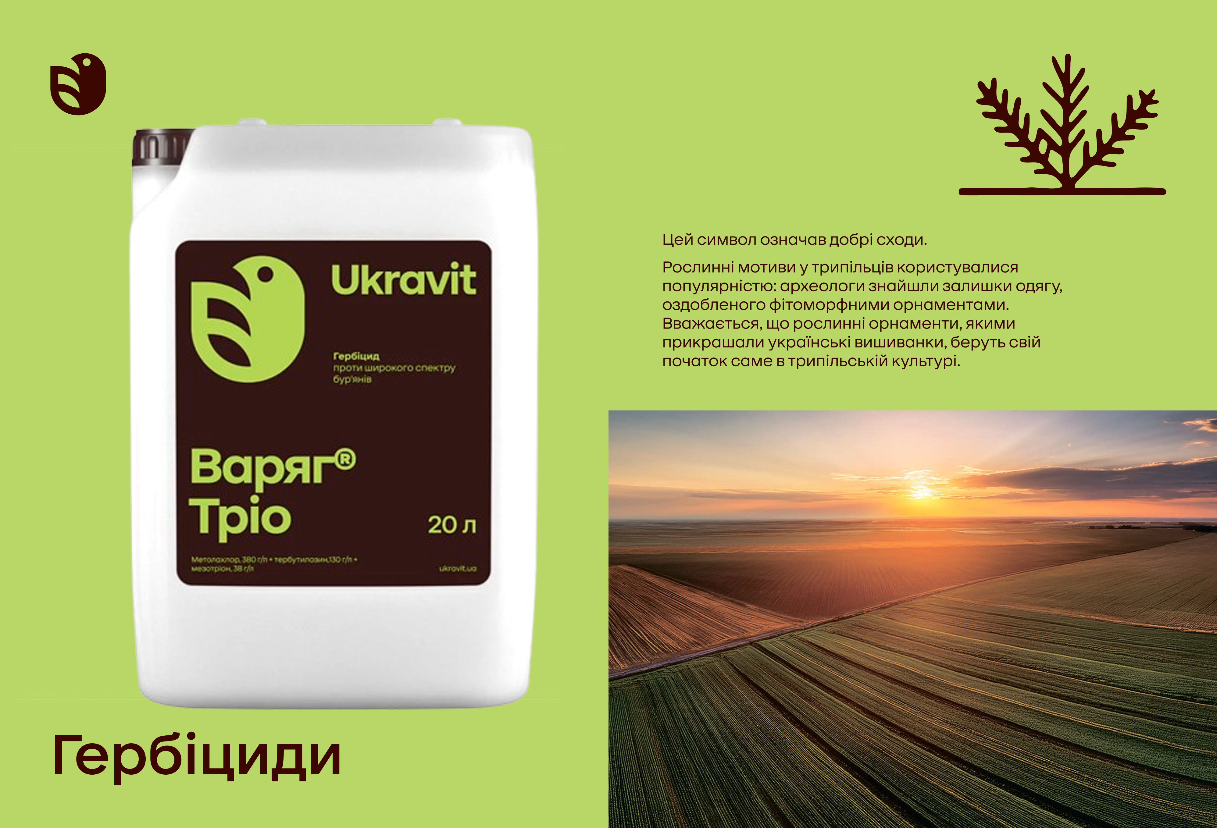 Почвенный гербицид для кукурузы Варяг Трио - Укравит